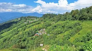 DARJEELING ZOO/BOTANICAL GARDEN #TOURISM#INCREDICABLE INDIA#NORTHEAST#NATURE#DARJEELING#ANIMAL