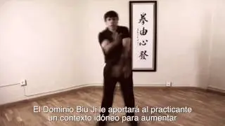 Ving Tsun (Wing Chun) Kung Fu - Forma Biu Ji - Marcelo Navarro HD