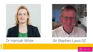What's more important, a strong government or a strong parliament? Panel discussion