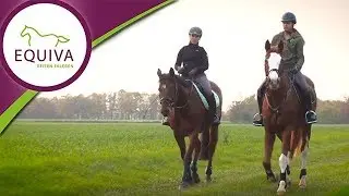 Reitbeteiligung - das solltest du wissen!