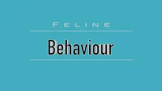 Feline Behaviour (VETERINARY ASSISTANT EDUCATION)