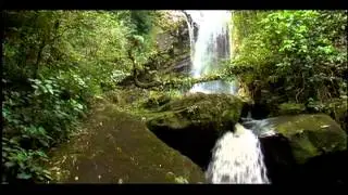 Reportaje al Perú: MOYOBAMBA, la selva del río Mayo- Cap 2