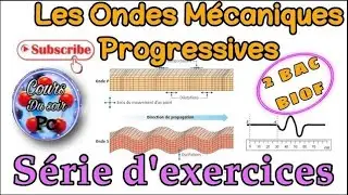 2 Bac BIOF - Série d’exercices  - Les ondes mécaniques progressives