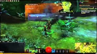 Guild Wars 2 - Sylvary - necromaster - Quest - Help Gernai Support The Wardens Of Wardenhurst