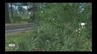 Got lost during race