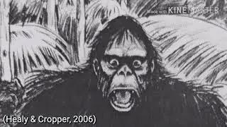 The Mystery of the Springbrook Yowie