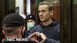 Navalny dies in Siberian gulag known as 'the polar wolf'