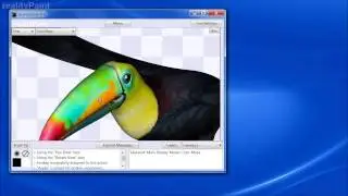 Using Viewport Presets