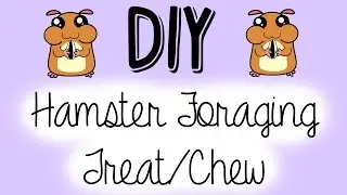DIY Hamster Foraging Treat/Chew!