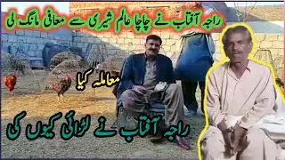 Raja Aftab Murg Baaz Message Of Chacha Alam Sheri || Alam Sheri Ne (چیلنج) Kr Dia | Alam Sheri