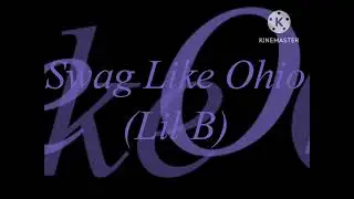 Swag Like Ohio by: Lil B (Lyrics)