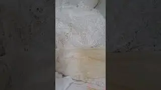 Sản phẩm mới : Tẩy điểm đa năng King Clean