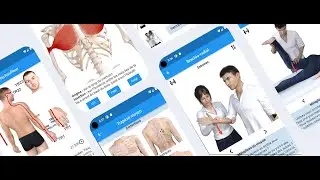 Touch For Health - Animated Reference