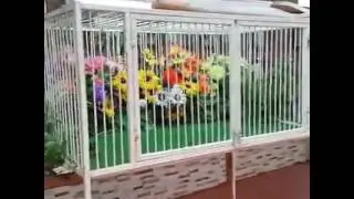 Luxury Birds Breeding Room. /Most Expensive Set Up