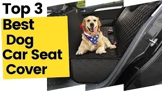 Best Dog Car Seat Cover to Protect Your Ride in 2023