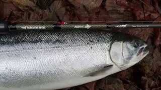 KastKing Krome Rods for STEELHEAD & SALMON FISHING