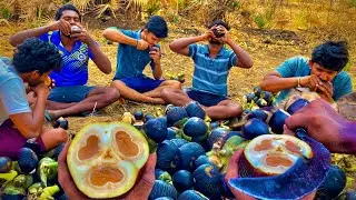 Fresh PALM Fruit Hunting | Nungu | Ice Apple | summer fruit