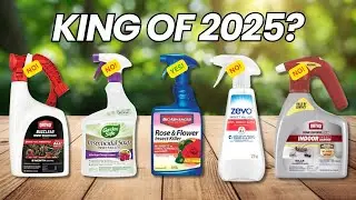 7 Best Non Toxic Insect Killer Sprays in 2025