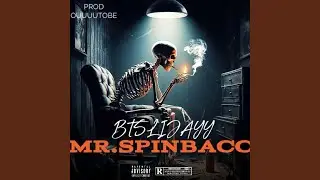 Mr.Spinbacc