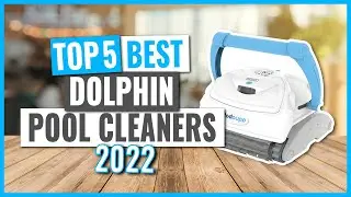TOP 5: Best Dolphin Pool Cleaners in 2022 (on Amazon)