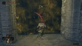 ELDEN RING 2x curved greatswords with bleed
