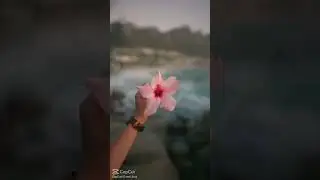 Sai de mim 