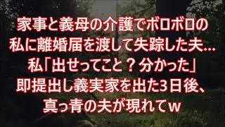 家事と義母の介護でボロボロの私に離婚届を渡して失踪した夫…私「出せってこと？分かった」即提出し義実家を出た3日後、真っ青の夫が現れてｗ