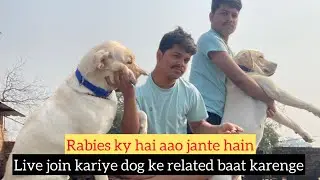 Rabies Ek Bite Se Maut? 😱 | Dog Rabies Symptoms, First Aid & Truth | Live #shortsviral #dog #reels