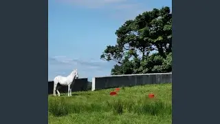 For Denis, the land we call home