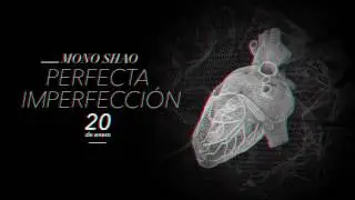 MonoShao - Perfecta Imperfecci&oacute;n
