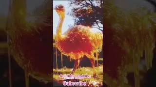 birds hybrid remixing#animals #chatgtp#hybrid #animals #jomi production #mini katana #bihari ladka