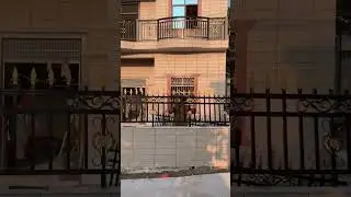 installation of iron frame on top of concrete fence of house #contruction #popular #fence #shorts