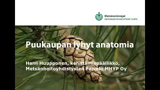 Puukaupan lyhyt anatomia - Mets&auml;nomistajat