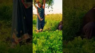beautiful village scene