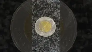 ERROR CANADIAN TOONIE 2022 COIN 2$