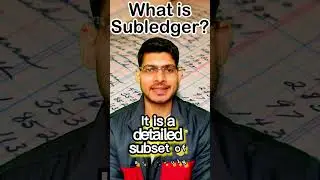 What is Sub-ledger?