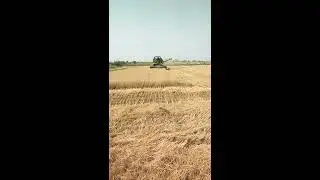Wheat Harvesting In Lockdown ।। 2020 Rabi Crops ।। Madhya Pradesh Hoshangabad