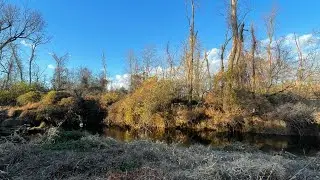 Micro fishing in tiny backyard creek