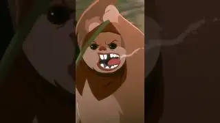 Ewoks contre l&rsquo;Empire, petits mais f&eacute;roces | Star Wars : Galaxie d&rsquo;Aventures