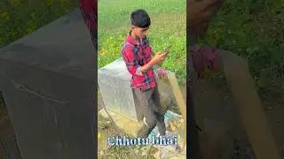 #chhotu #comedy #funny #trendingshorts #youtubeshorts #filterchallenge #viralshorts