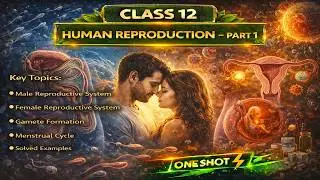 CBSE Class 12 || Biology || Human Reproduction || Part-I || Animation || in English