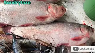 Indian Fish Market #fishmarket #fish #fishshop#fishcutting_skills#fishcutting#fishspecies#sundrylaze