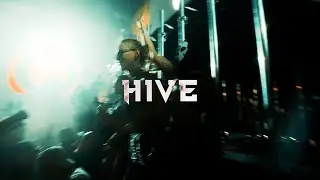 HIVE FESTIVAL | 2024 Aftermovie | Recap