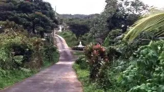 Bo. Espino, San Lorenzo, Puerto Rico
