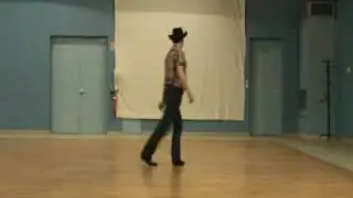 wild stallion