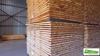 Atelier du pin : Spécialiste parquet massif en Pin des Landes