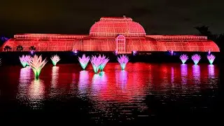 KEW GARDENS CHRISTMAS LIGHTS  #kewgarden #christmas #kewgardens #lights #botanicalgarden #london #uk