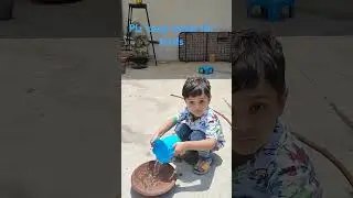 #keepwaterfirbirds #bilionera #teachyourchildtohelpbirds #socialactivity