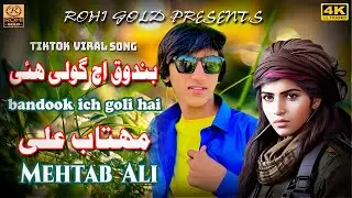 undy hath bandook bandook ich goli hai | Mehtab Ali | saraiki tiktok viral song| Rohi Gold