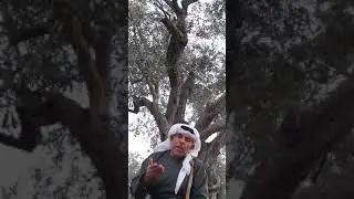 حمار يعينك ولا ولد يهينك